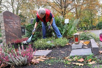 Eine silberhaarige Dame harkt Laub aus frisch gesetzter Grabbepflanzung.