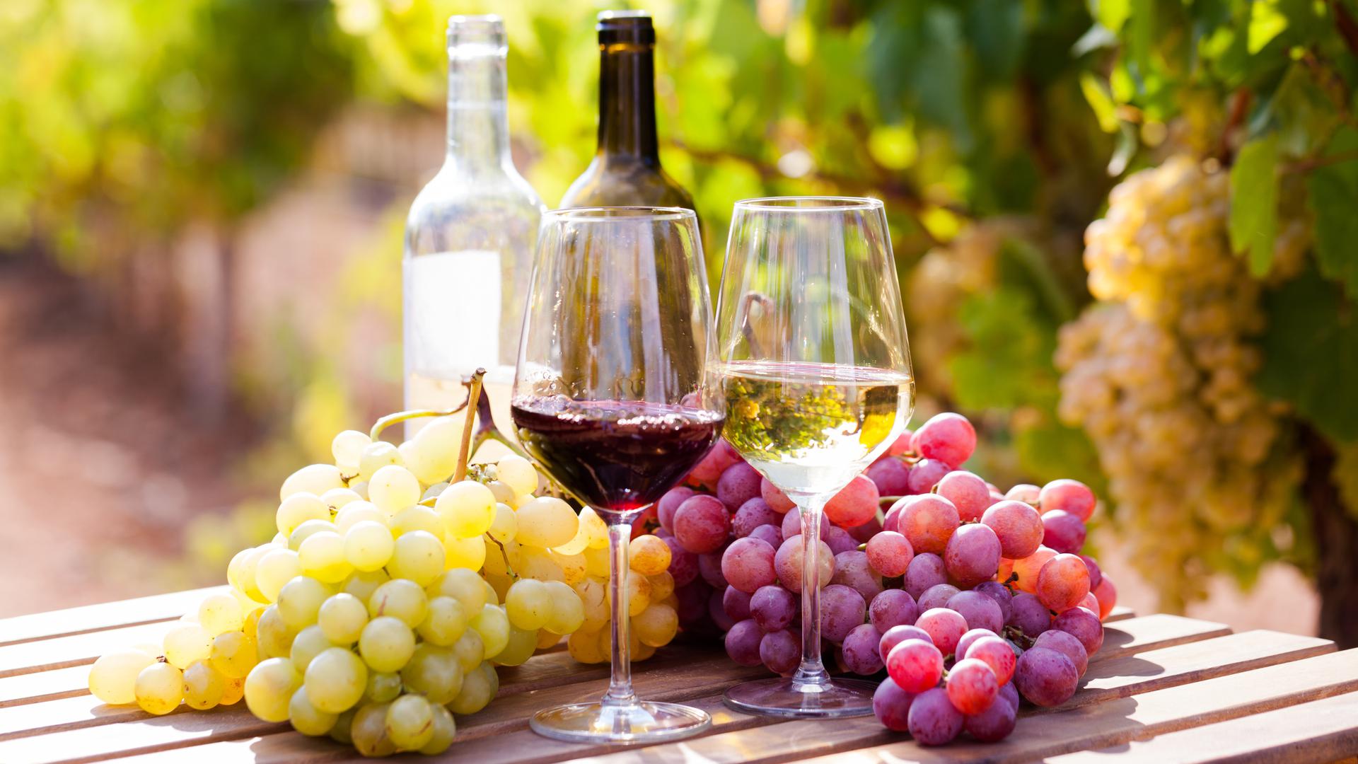 Weinflaschen, Weingläser und Trauben stehen auf einem Tisch. 