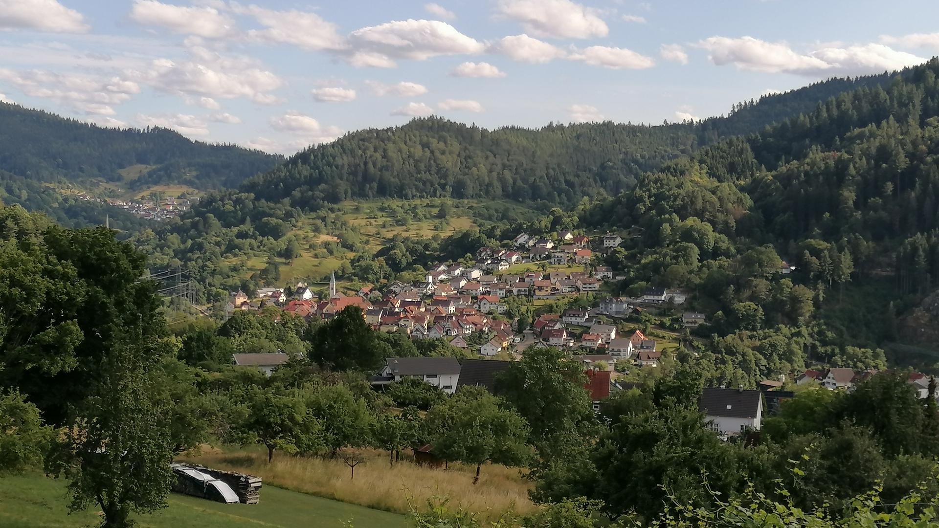 Blick vom Weinberg Kapf auf die Gemeinde Weisenbach.