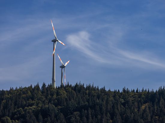 In Weisenbach befinden sich mögliche Standorte für Windräder vorrangig auf bewaldeten Flächen. Die Verwaltung will erste Schritte einleiten. 