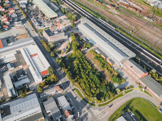 Umzug an den Güterbahnhof? Auf der baumbestandenen Fläche könnte der Neubau des Landratsamts für den Ortenaukreis entstehen. Das Gelände liegt in einem Gewerbegebiet am nördlichen Offenburger Stadtausgang. 