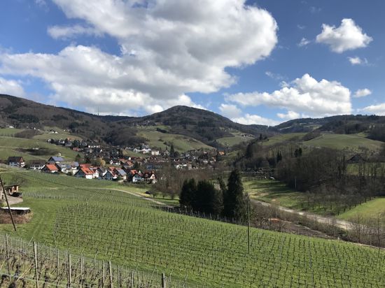 Frühling in Sasbachwaldener Tal
15.03.2018