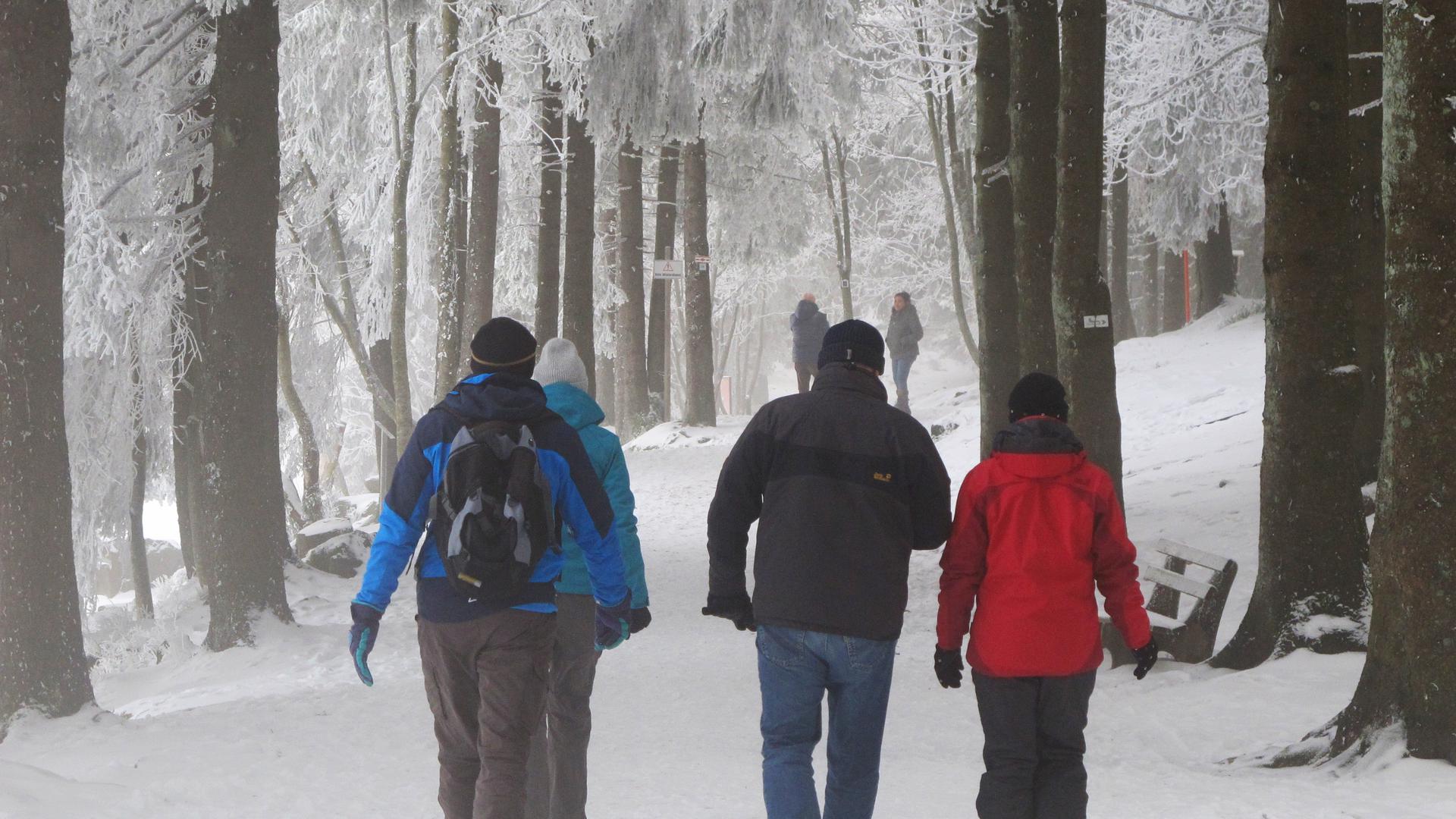 Wanderer 
Mummelsee Rundweg
Spaziergänger
Ausflug
Winter
Winterwanderung
