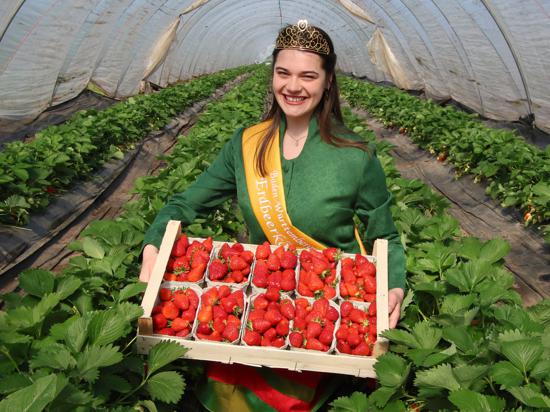 Junge Frau mit Kiste voller Erdbeeren.