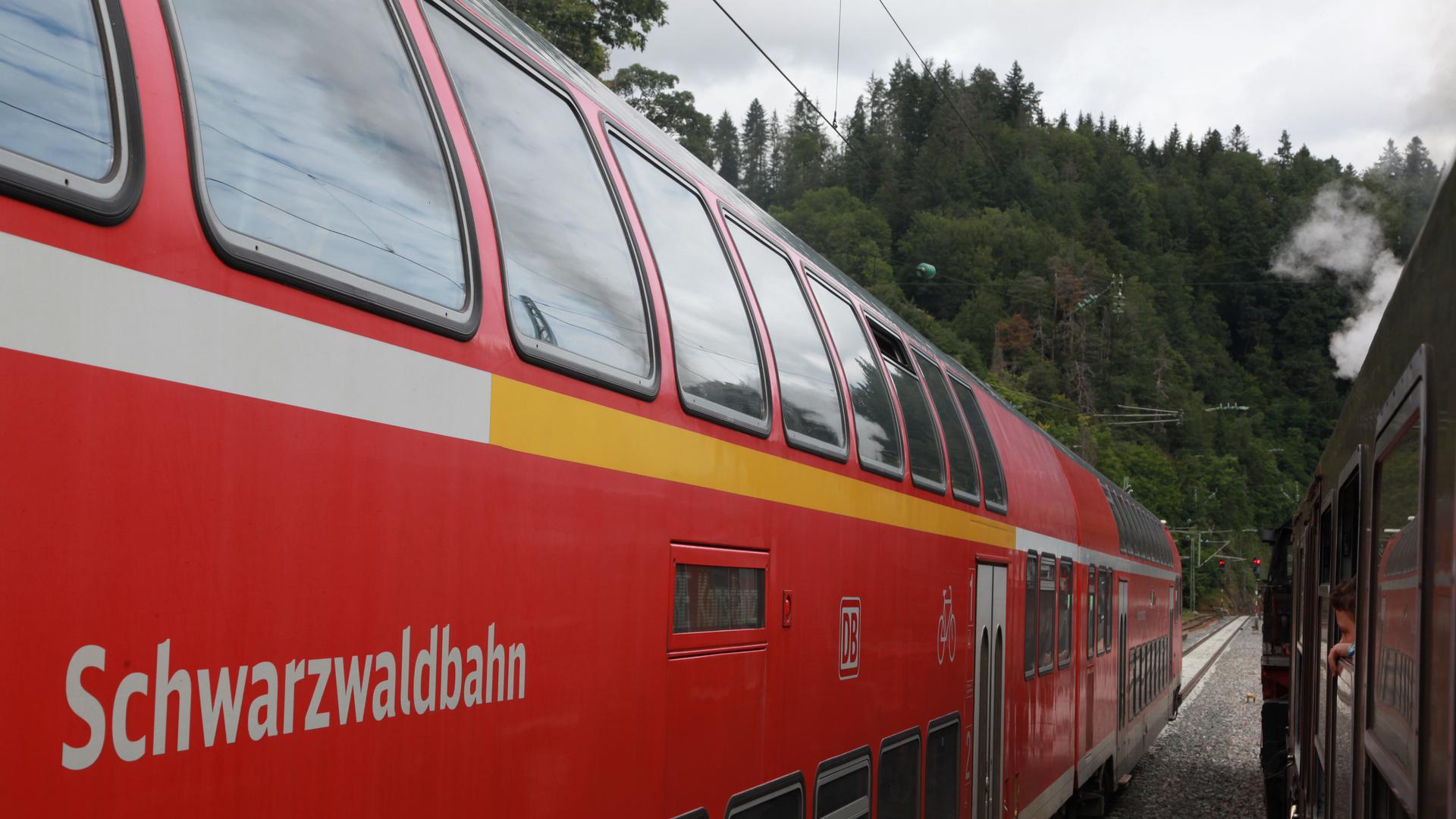 Werbeträger: Die Aufschrift Schwarzwaldbahn findet sich auf den Doppelstockwagen der Regionalzüge. Hier begegnet der Regional-Express der DB dem Dampfzug der EFZ. Foto: