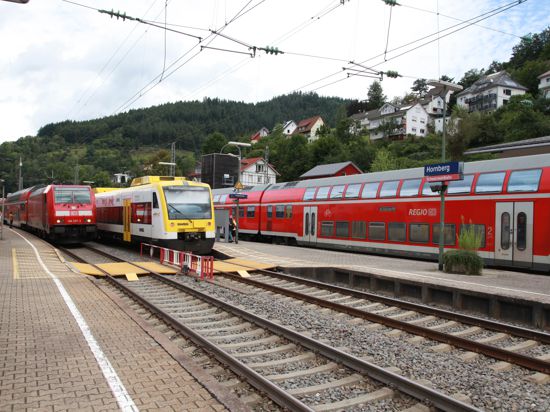 Bahnhof Hornberg mit Zügen