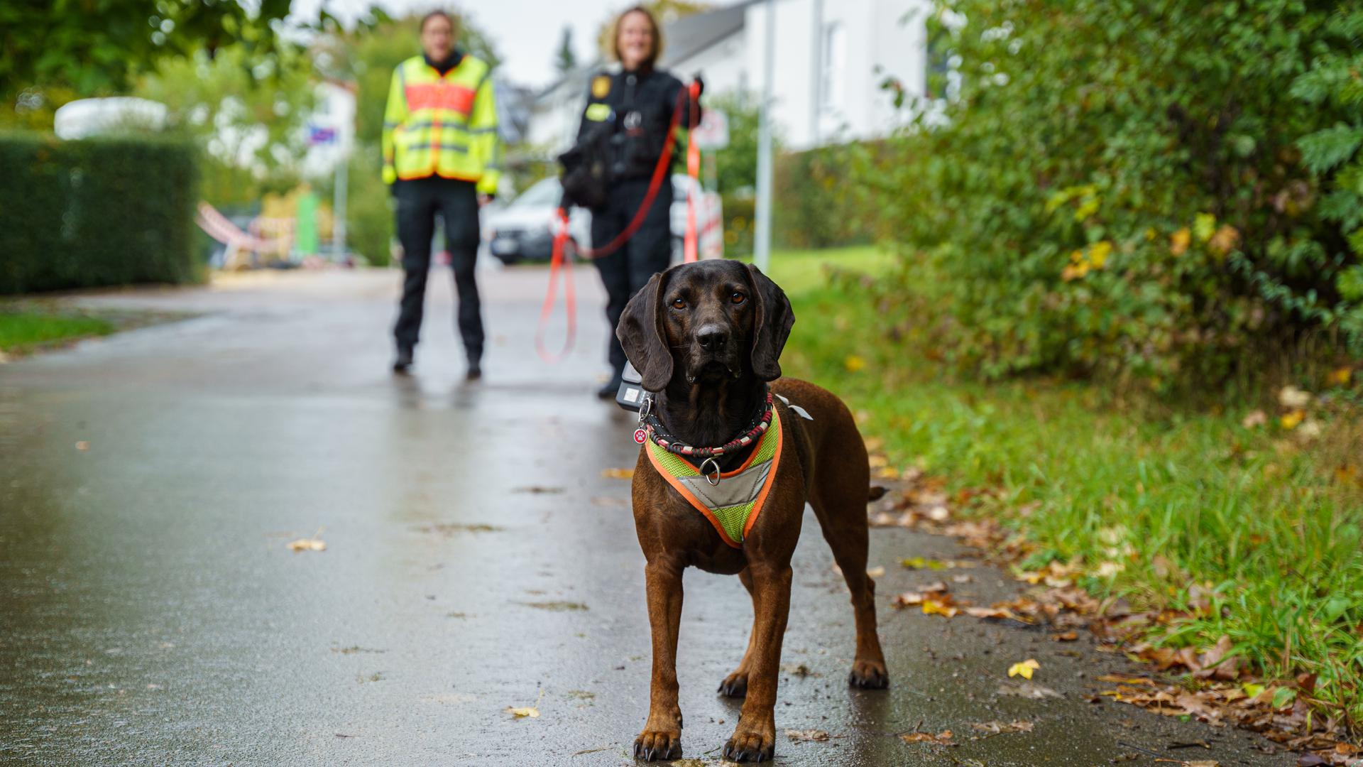 Hund mit Polizeibeamtin in Göppingen im Trainingszentrum