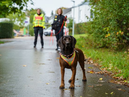 Hund mit Polizeibeamtin in Göppingen im Trainingszentrum