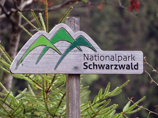 Neue Statistik: Den Nationalpark schon einmal besucht haben 31 Prozent der befragten Baden-Württemberger und 77 Prozent der Menschen aus der Region.