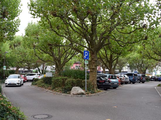 Blick auf einen Parkplatz unter großen Bäumen.