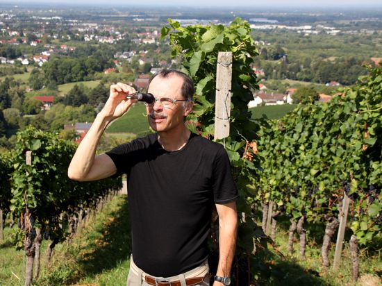 Wein-Qualitätsberater Bernhard Ganter 