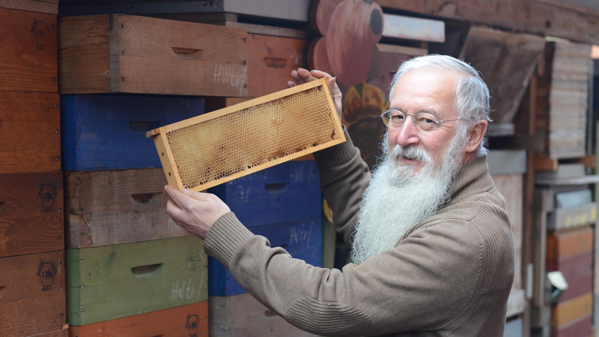 Bernd Krög begutachtet einen der Rahmen mit den Waben, die die Bienen im vergangenen Jahr gebaut haben.
