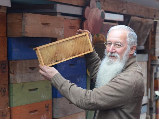 Bernd Krög begutachtet einen der Rahmen mit den Waben, die die Bienen im vergangenen Jahr gebaut haben.