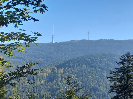 Ein bewaldeter flacher Berg, auf dem ein Fernsehturm und eine Windkraftanlage stehen.