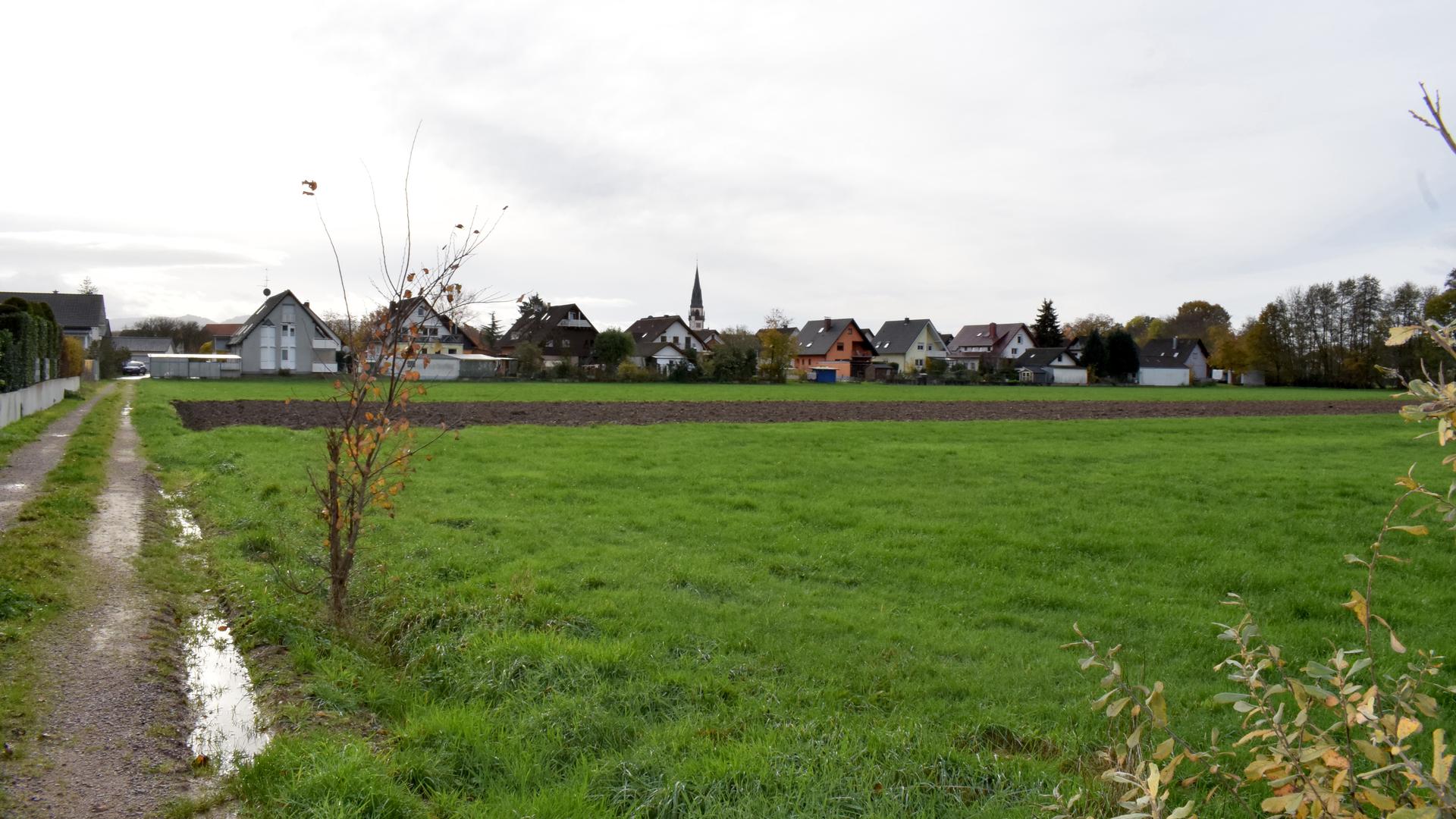 Ein Feldweg, eine grüne Wiese und Ackerflächen, dahinter Wohnerhäuser und ein Kirchturm.