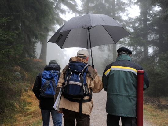Bei Nebel und Regen sind am Naturschutzzentrum Ruhestein bei Seebach im Schwarzwald Wanderer unterwegs. 