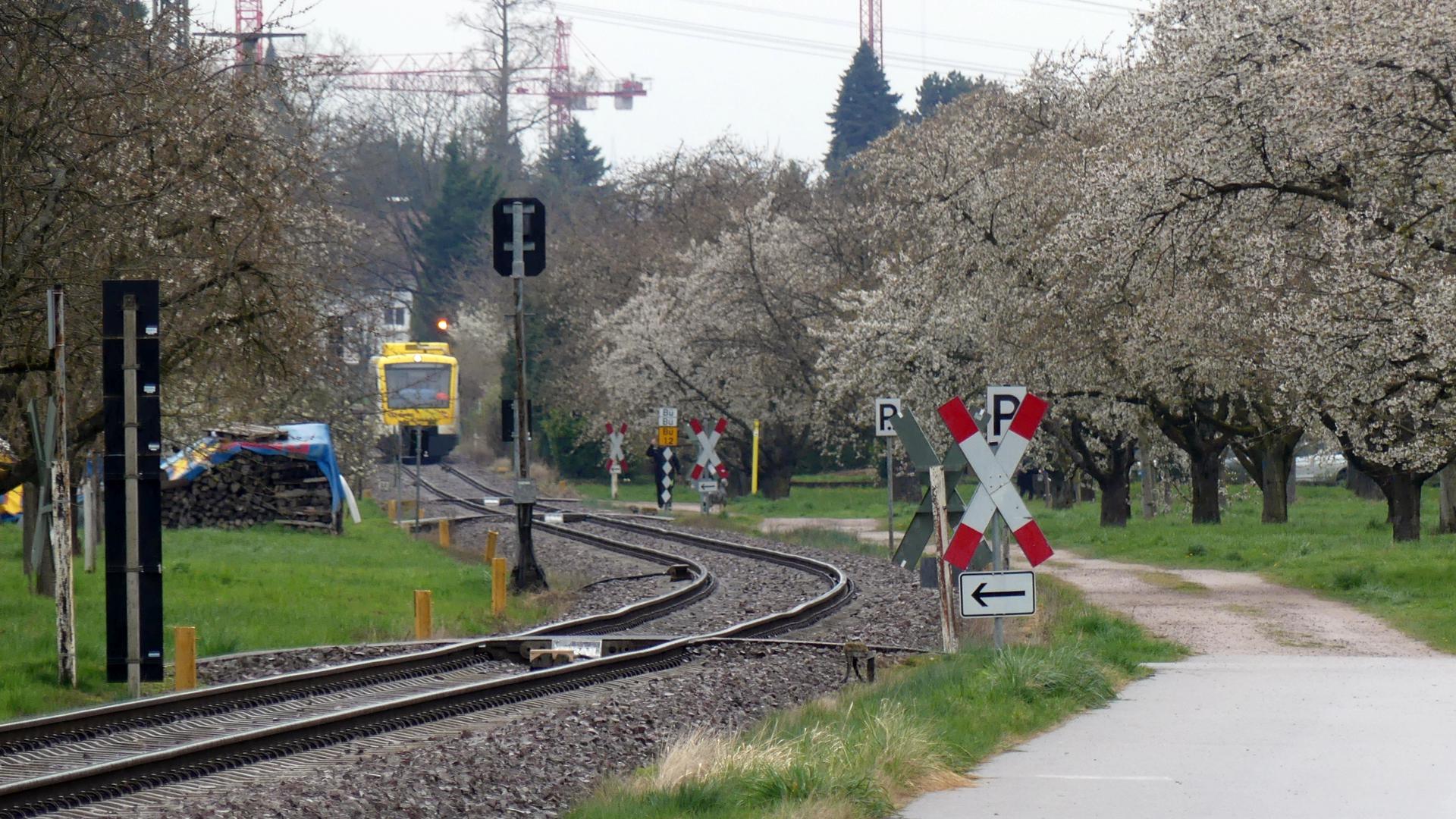 Achertalbahn zwischen Achern und Oberachern / Ungesicherte Bahnübergänge