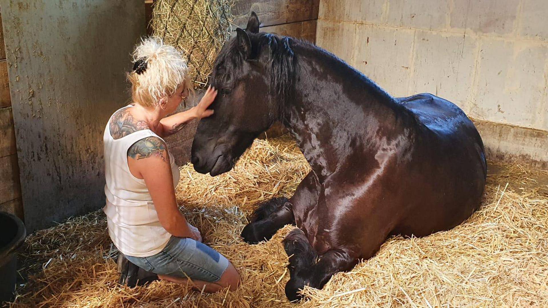 Sibylle Michaela Schoch liebt Pferde über alles