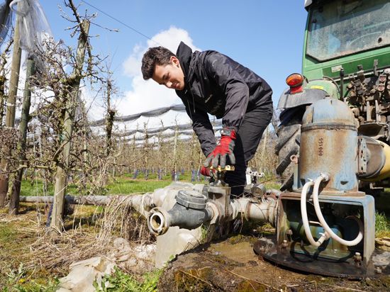 Jung-Obstbauer Maximilian Kammerer schließt eine Pumpe an einen Traktor an. 