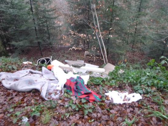 Müll am Wald in Oberachern