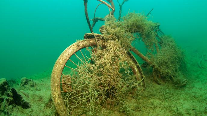 Kunst am Grund: Unterwasserpflanzen ranken sich an diesem im Huber-See versenkten Fahrrad