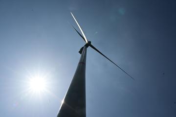 Windenergie steht an der Spitze des Ausbaus, glaubt IEA-Direktor Fatih Birol.