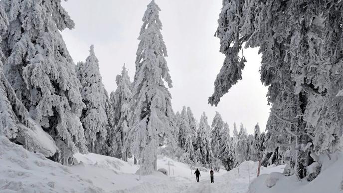 Der Schwarzwald hat sich in ein Winter-Wonderland verwandelt.