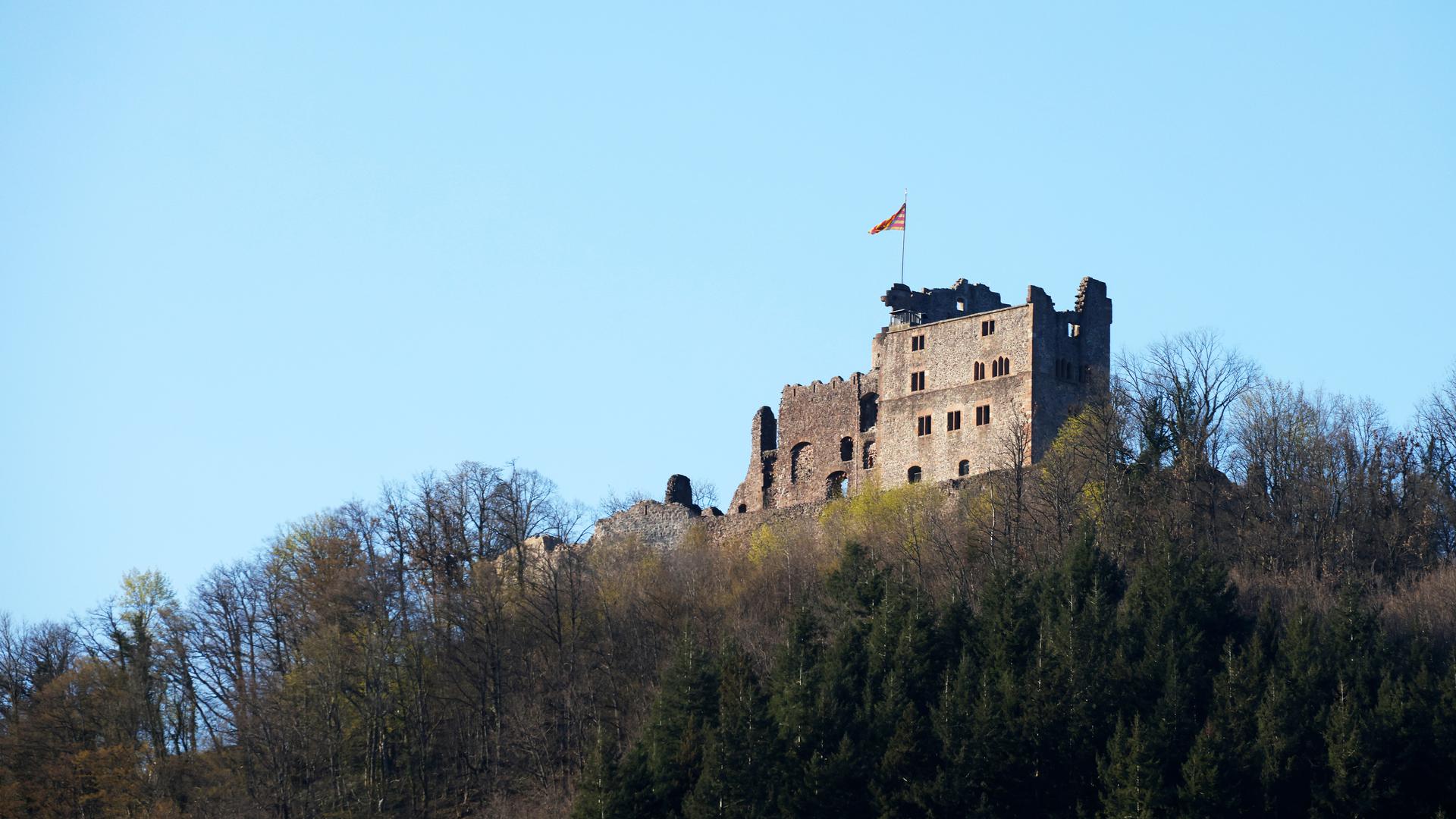 Die Burg Hohengeroldseck steht auf einem Berg oberhalb von Seelbach. Im Rahmen eines dreijährigen Projekts sollen in Zusammenarbeit mit 36 grenzüberschreitenden Partnern wissenschaftliche, kulturelle, kulturhistorische, touristische und bürgerschaftliche Initiativen vereint werden, um die Burgen auf beiden Seiten des Oberrhein zu fördern und aufzuwerten. 