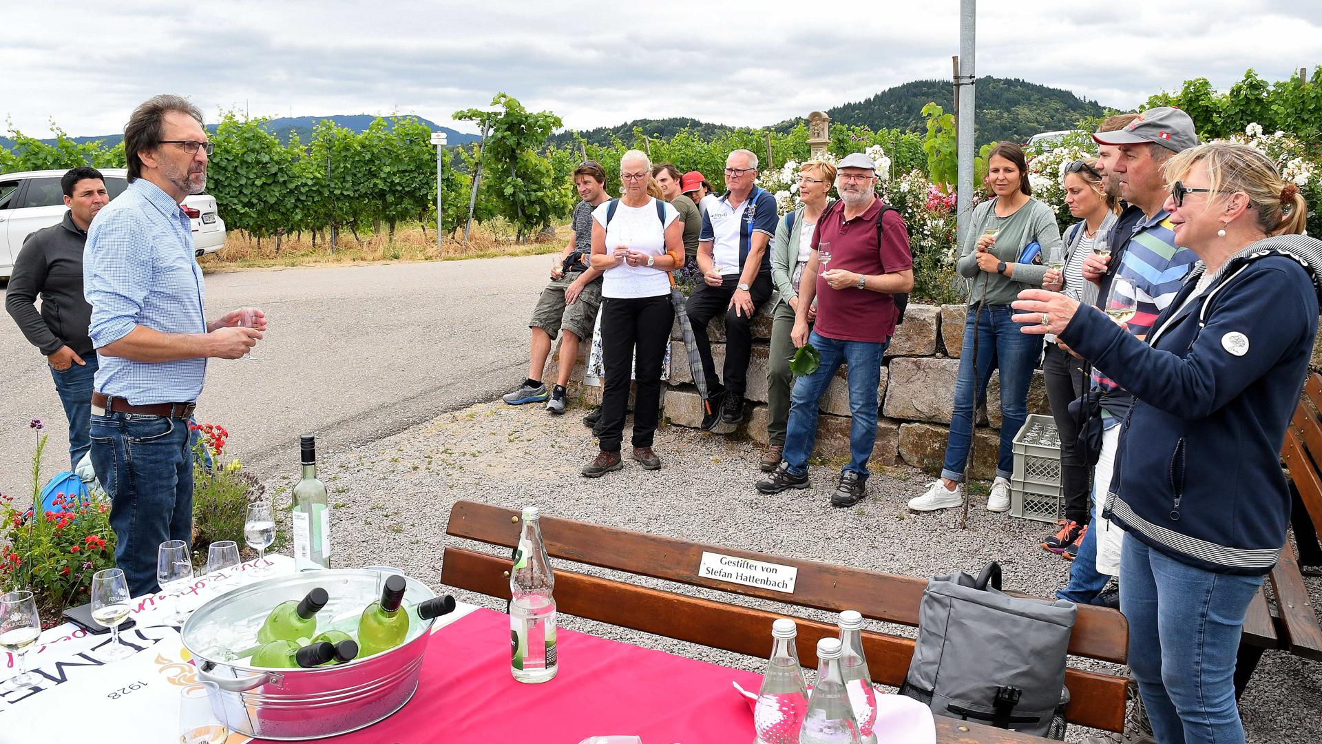 Veranstaltungen wie Weinwanderungen und andere touristische Angebote mehr haben der Waldulmer WG das Siegel „Weinsüden Winzer“ beschert 