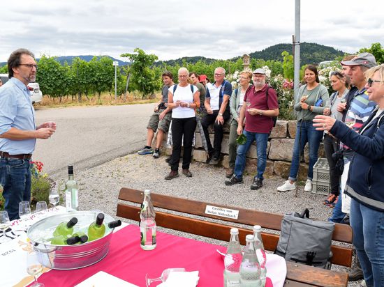 Veranstaltungen wie Weinwanderungen und andere touristische Angebote mehr haben der Waldulmer Winzergenossenschaft das Siegel Weinsüden Winzer beschert 