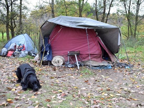 In einem Zelt auf einer Obstwiese bei Waldulm leben zwei Menschen und ein Hund. Sie hoffen, nicht noch einen zweiten Winter draußen verbringen zu müssen.
