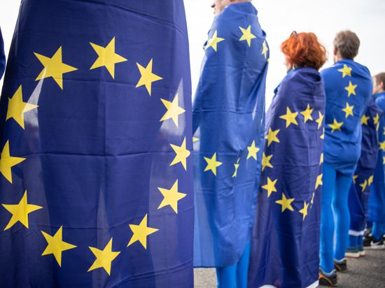 Offenburg: Gegendemonstranten mit Europaflaggen