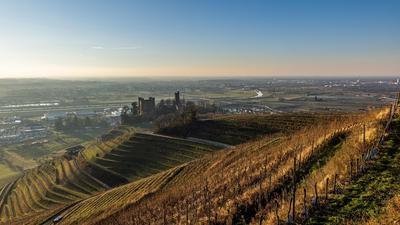 Das Schloss Ortenberg steht inmitten von Weinreben während im Hintergrund Offenburg zu sehen sind.