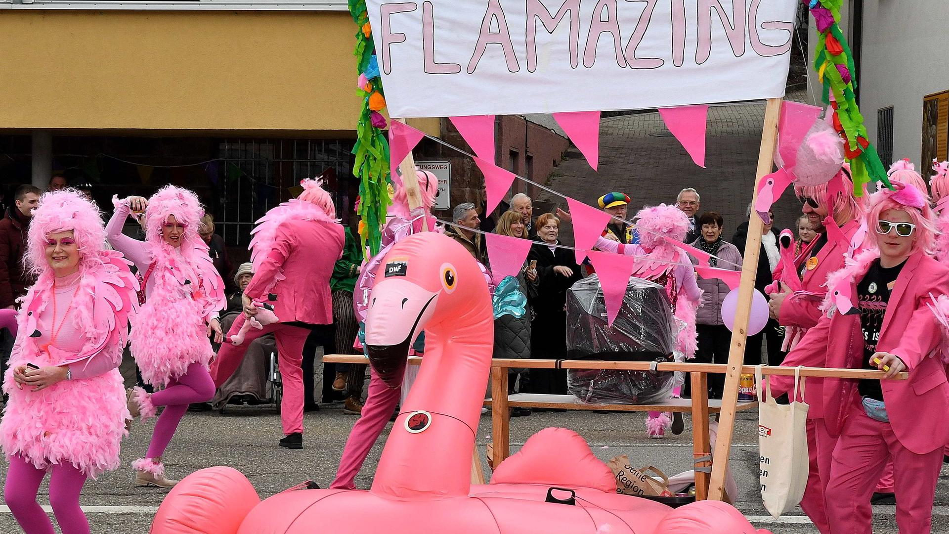 Einen tollen Eindruck machten die pinkfarbenen Flamingos der IG Fasnacht beim Umzug in Ottenhöfen.
