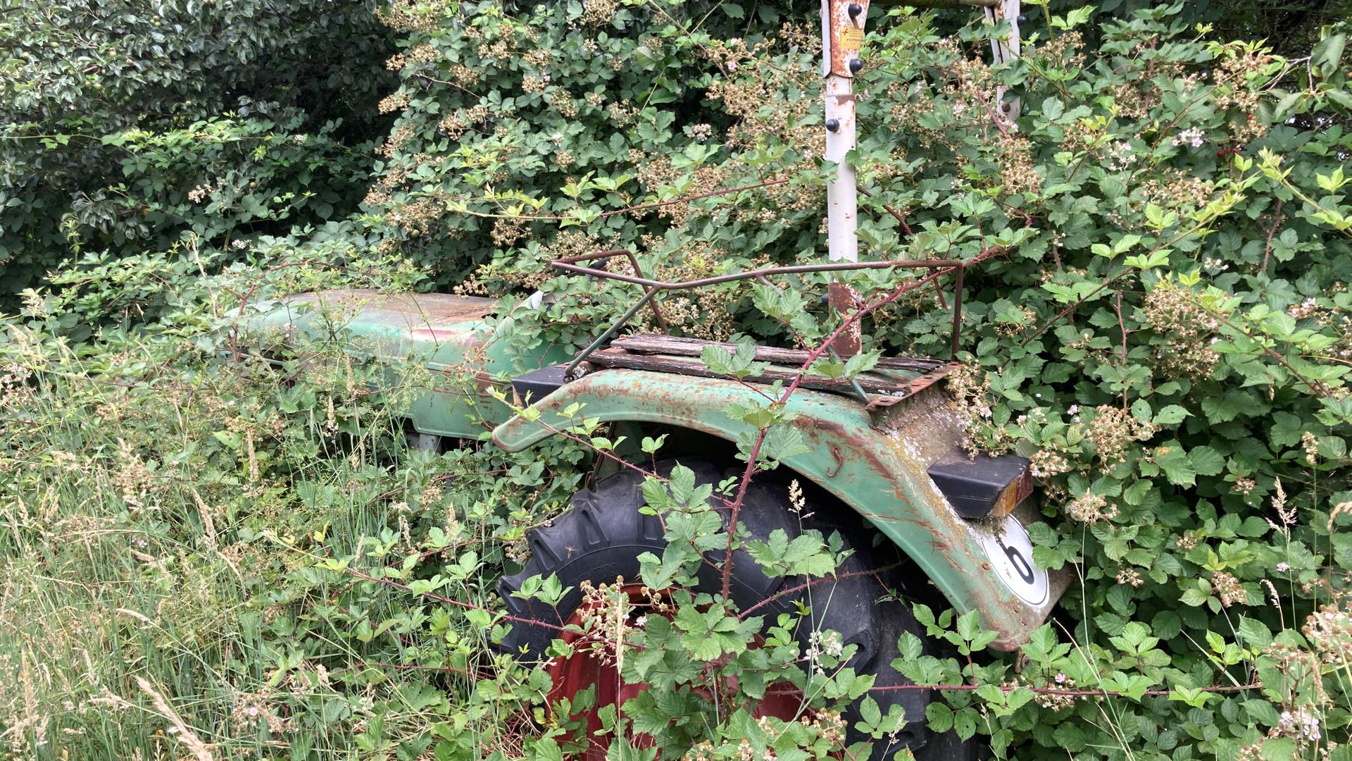 Die besten Tage hinter sich hat dieser Traktor auf einem verwilderten Grundstück am Ortsrand von Ottersweier-Haft. Die Behörden kämpfen seit Jahren gegen den Missstand.