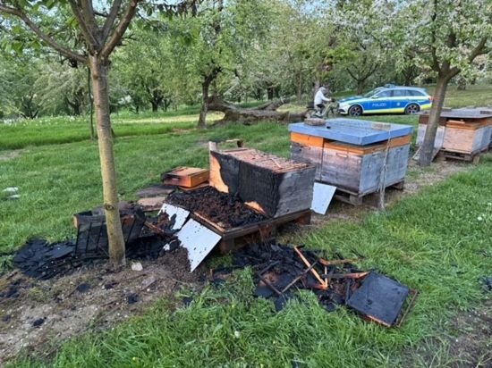 Nach dem Brand einer Palette mit vier Bienenvölkern Mitte April zwischen Renchen-Ulm und Mösbach bleibt ein trauriger Anblick. 