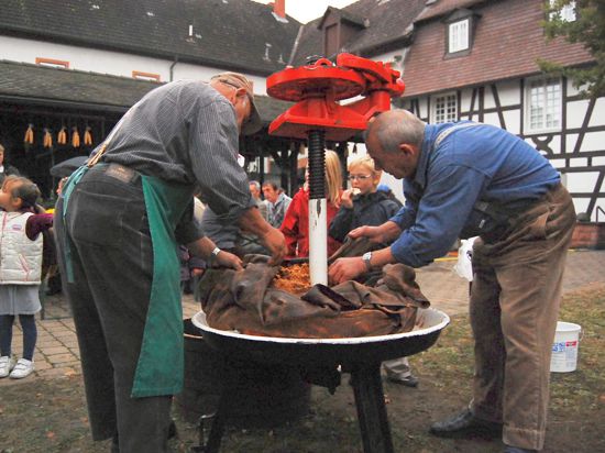 Als das Rheinauer Heimatmuseum noch mit Leben gefüllt war: Trottfest 2010 im Musuemshof