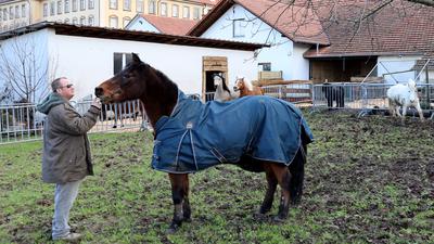 Ponyparadies von James Alexander Lucas ist nun auf dem Areal des Kloster Erlenbad von Jürgen Grossmann angesiedelt