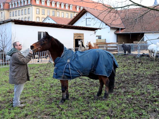 Ponyparadies von James Alexander Lucas ist nun auf dem Areal des Kloster Erlenbad von Jürgen Grossmann angesiedelt