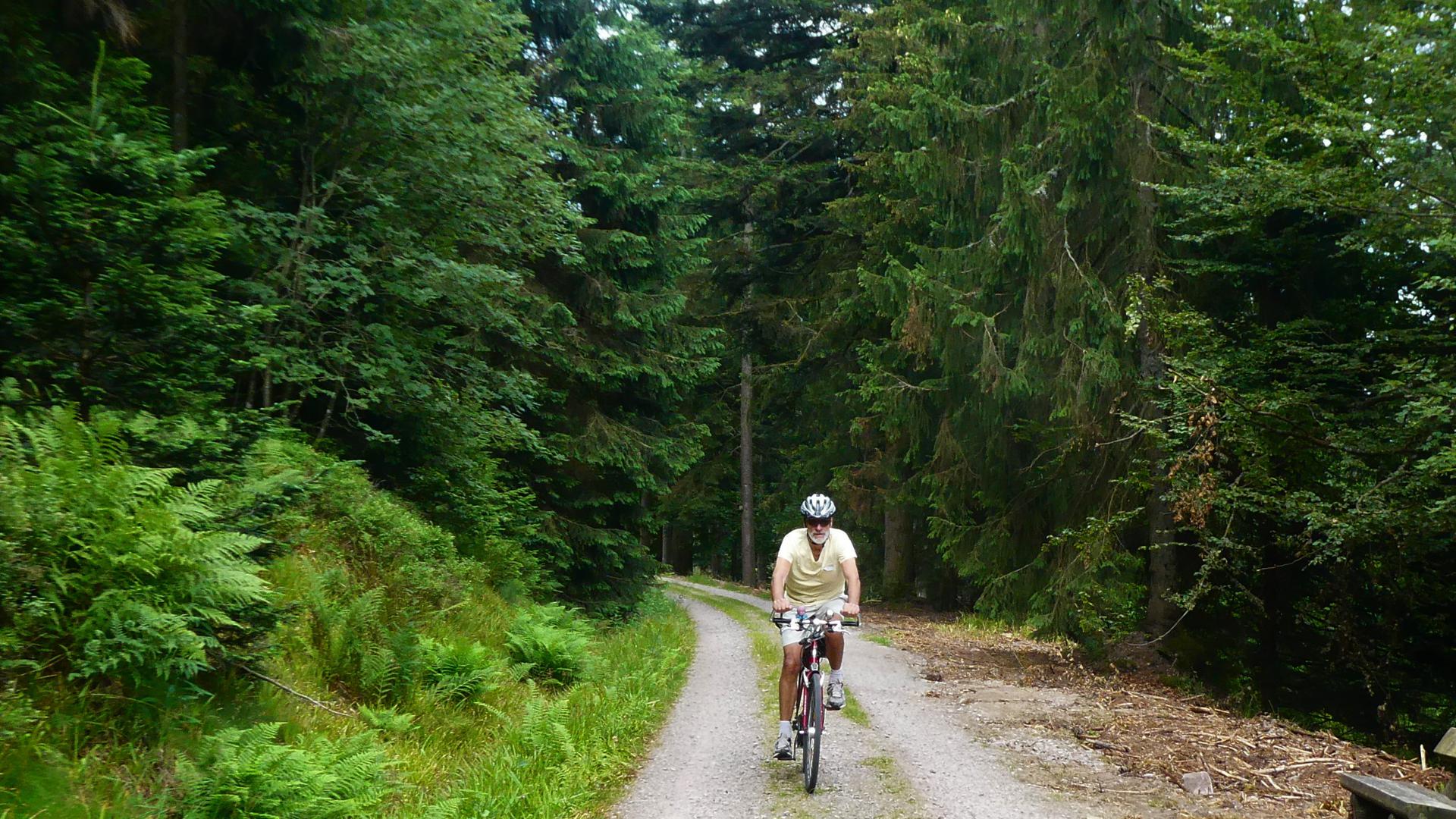 Fahrradfahrer im Schwarzwald
