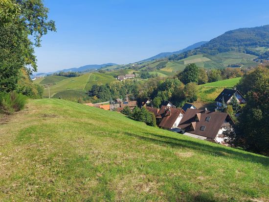 Wartet auf eine Bebauung: der grüne Hügel im Sasbachwaldener Ortsteil Sandweg. 