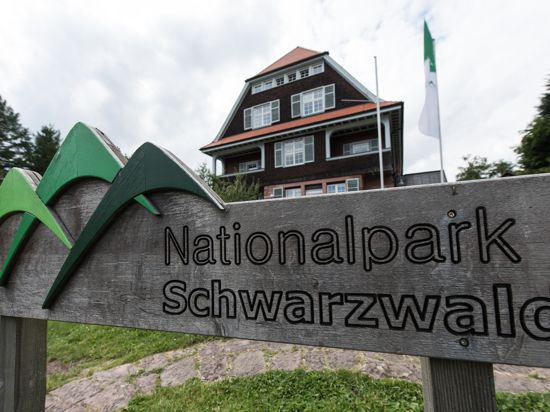 Der Nationalpark Schwarzwald ist seit sieben Jahren Realität. Jetzt geht es um den nächsten Schritt.