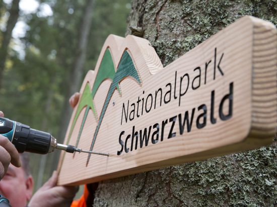 Schild Nationalpark Schwarzwald wird angebracht