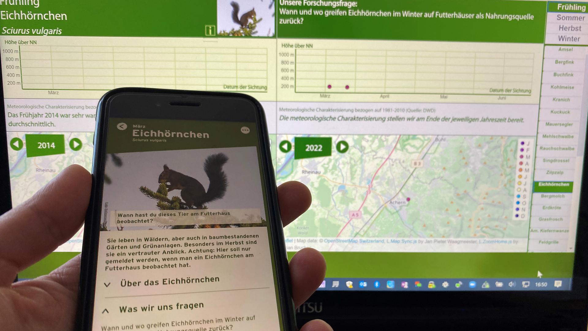 „Phänowatch“-App des Nationalparks Schwarzwald