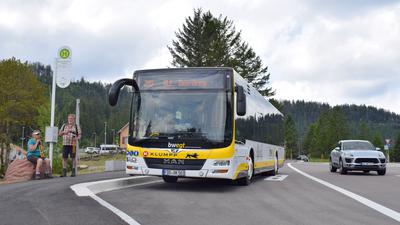 Die gelb-weißen Nationalpark-Buslinien fahren aus vier Richtungen zum Ruhestein.