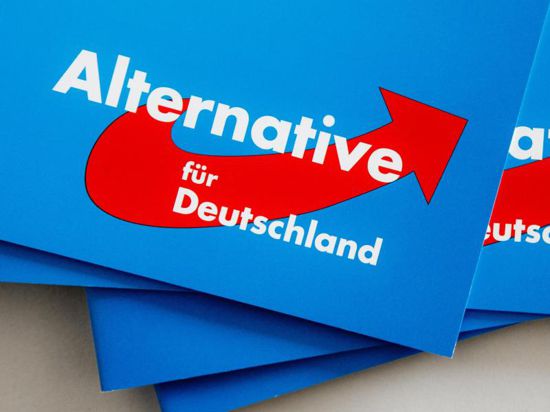 Das Logo der Partei Alternative für Deutschland