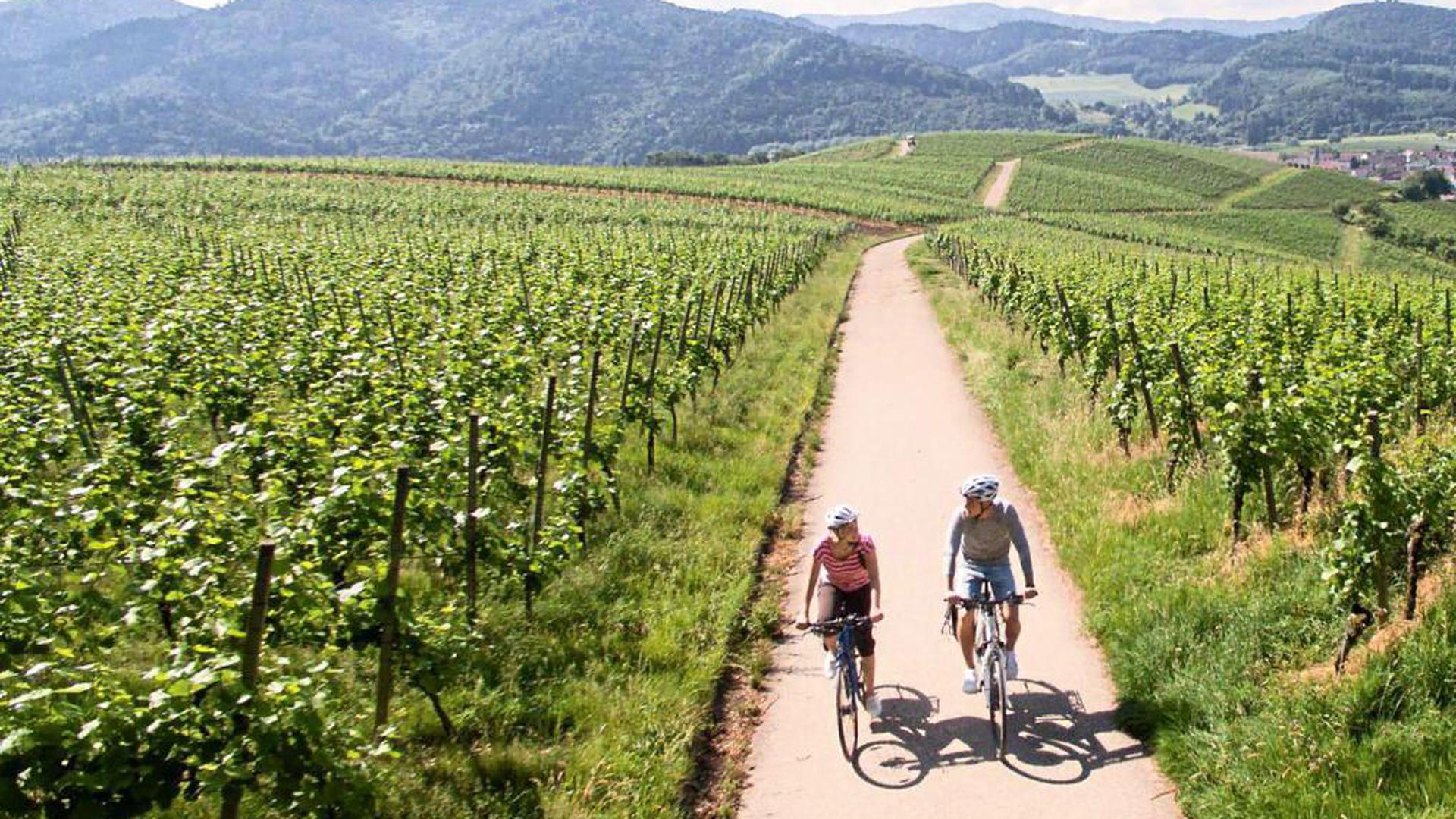 Den Reben nach: Der neue Badische Weinradweg führt Fahrradtouristen durch die schönsten Landschaften und Weinanbaugebiete Badens, wie zum Beispiel durch die Ortenau.