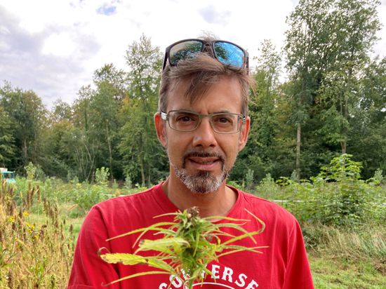 Stefan Karcher vom Start-up „Hämp“ hält eine Hanf-Pflanze in der Hand.