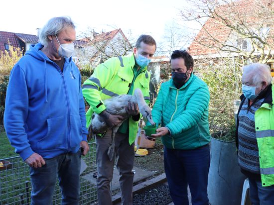 Wollen sich auch künftig im Vogelschutz engagieren: NABU-Vorsitzender Karl-Ludwig Matt, Kevin Fingermann, Nikolas Rheinboldt und Pierre Fingermann (von links). 