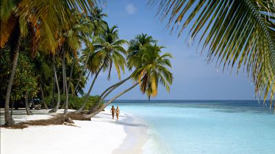 ARCHIV - Ein Paar bei einem Spaziergang an einem einsamen Palmenstrand auf der Malediven-Insel Little Bandos, aufgenommen 2007. Mehr Hitzewellen, steigender Meeresspiegel, extreme Niederschläge: Der Klimawandel setzt sich unaufhaltsam fort. Der Weltklimarat warnt im neuen Bericht vor den Folgen der globalen Erderwärmung. Foto: Friedel Gierth dpa (zu dpa "UN-Bericht: Klimawandel schreitet ungebremst voran" vom 27.09.2013) +++ dpa-Bildfunk +++
